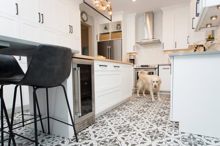 bar fridge and family dog!