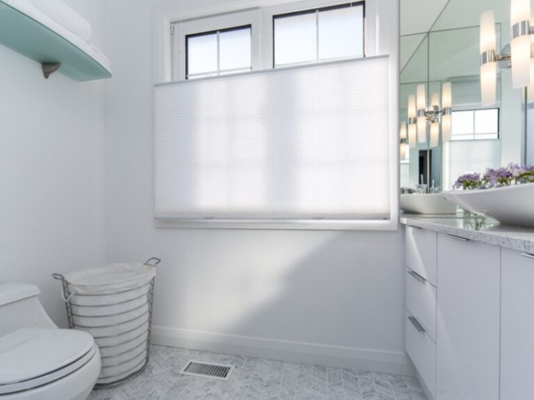 Bathroom Renovation Fontenay